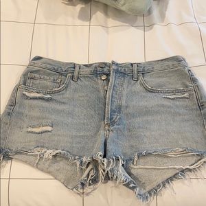 Agolde Vintage Cuttoff Parker Shorts